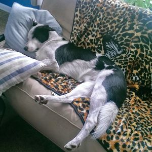 Meet your Posher, Cheri